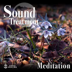 Sound Treatment 〜Meditation〜 Croix Edit
