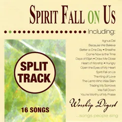 Spirit Fall on Us (Whole Hearted Worship) Split Tracks