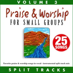 Praise & Worship for Small Groups (Whole Hearted Worship), Vol. 3 Split Tracks