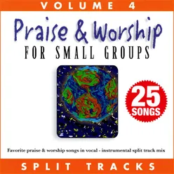 Praise & Worship for Small Groups (Whole Hearted Worship), Vol. 4 Split Tracks