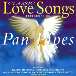 Classic Love Songs on Panpipes