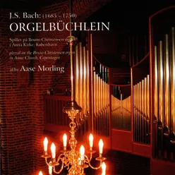 Der Tag, der ist so freudenreich, BWV 605