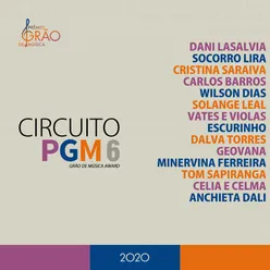 Circuito Pgm 6