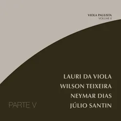 Viola Paulista, Vol. 2 - Parte 5