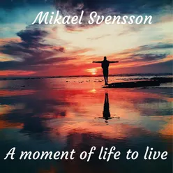 A Moment of Life to Live