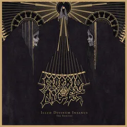 Illud Divinum Insanus - The Remixes Complete