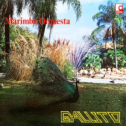 Marimba Orquesta Gallito