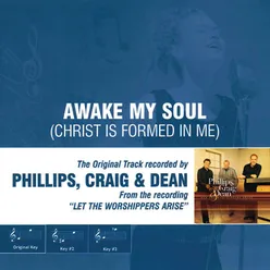 Awake My Soul (Christ Is Formed in Me) [Performance Track with Background Vocals]