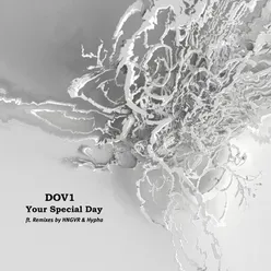 Your Special Day HNGVR Remix