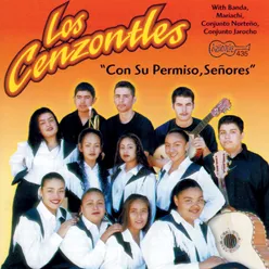 El Corrido de Cecilia Rios