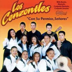 Canción Mexicana