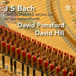 Sonata No. 3 in D Minor BWV 527: I. Andante (arr. David Ponsford)