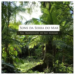 Sons da Serra do Mar