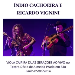 Festa de Violeiro