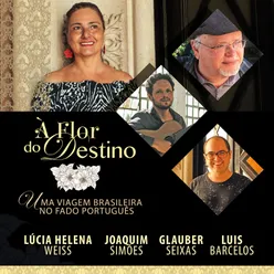 Fado Menino (Fado Vianinha)