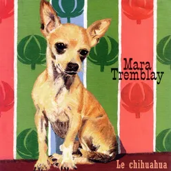 Le chihuahua