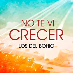 No Te Vi Crecer