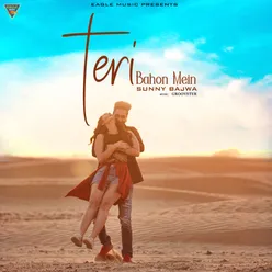 Teri Bahon Mein - Single