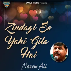 Zindagi Se Yehi Gila Hai - Single