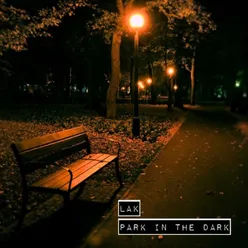 Park In The Dark (Remastered)