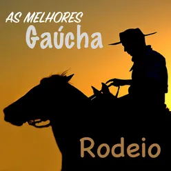 Vida de Gaúcho / Gaita do Belizário-Ao Vivo