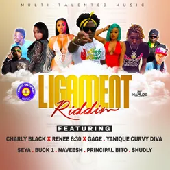 Ligament Riddim-Instrumental