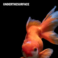 Under the Surface