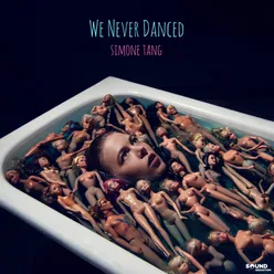 We Never Danced