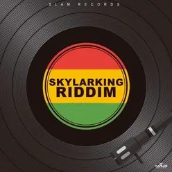 Sky Larking-Dub