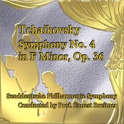 Symphony No. 4 in F Minor, Op. 36: II. Andantino in modo di canzona