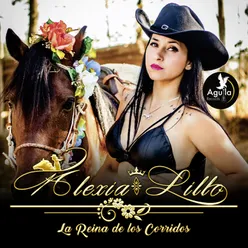 Caballo de Patas Blancas