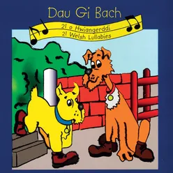 Dau Gi Bach