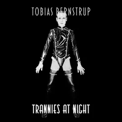 Trannies at Night 1998-2012