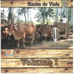 Viola de Ouro - Segunda Racha de Viola, Vol. 1