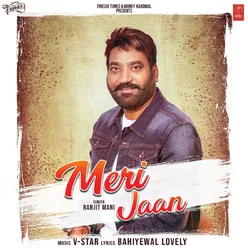 Meri Jaan - Single