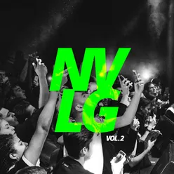 NVLG, Vol.2