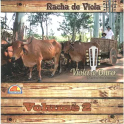 Viola de Ouro - Segunda Racha de Viola, Vol. 2
