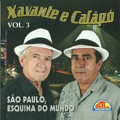 São Paulo, Esquina do Mundo, Vol. 3