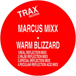 WARM BLIZZARD-FALSE REFLECTION MIXX