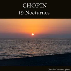 19 Nocturnes