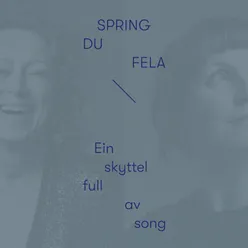 Ein skyttel full av song