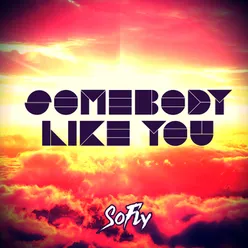 Somebody Like You-Extended Mix