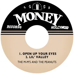 Open up Your Eyes / Lil' Valley