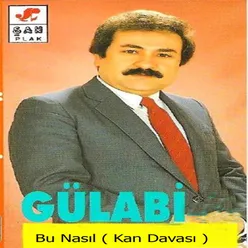 Bülbül Gibi Viran Koyma Bağlarda