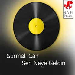 Sen Neye Geldin