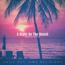 A Night On The Beach-Easy Listening Mix