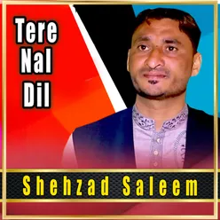 Tere Nal Dil - Single