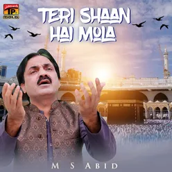 Teri Shaan Hai Mola - Single