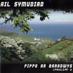 Lliw Llawenydd