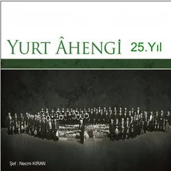 Yurt Ahengi 25.Yıl